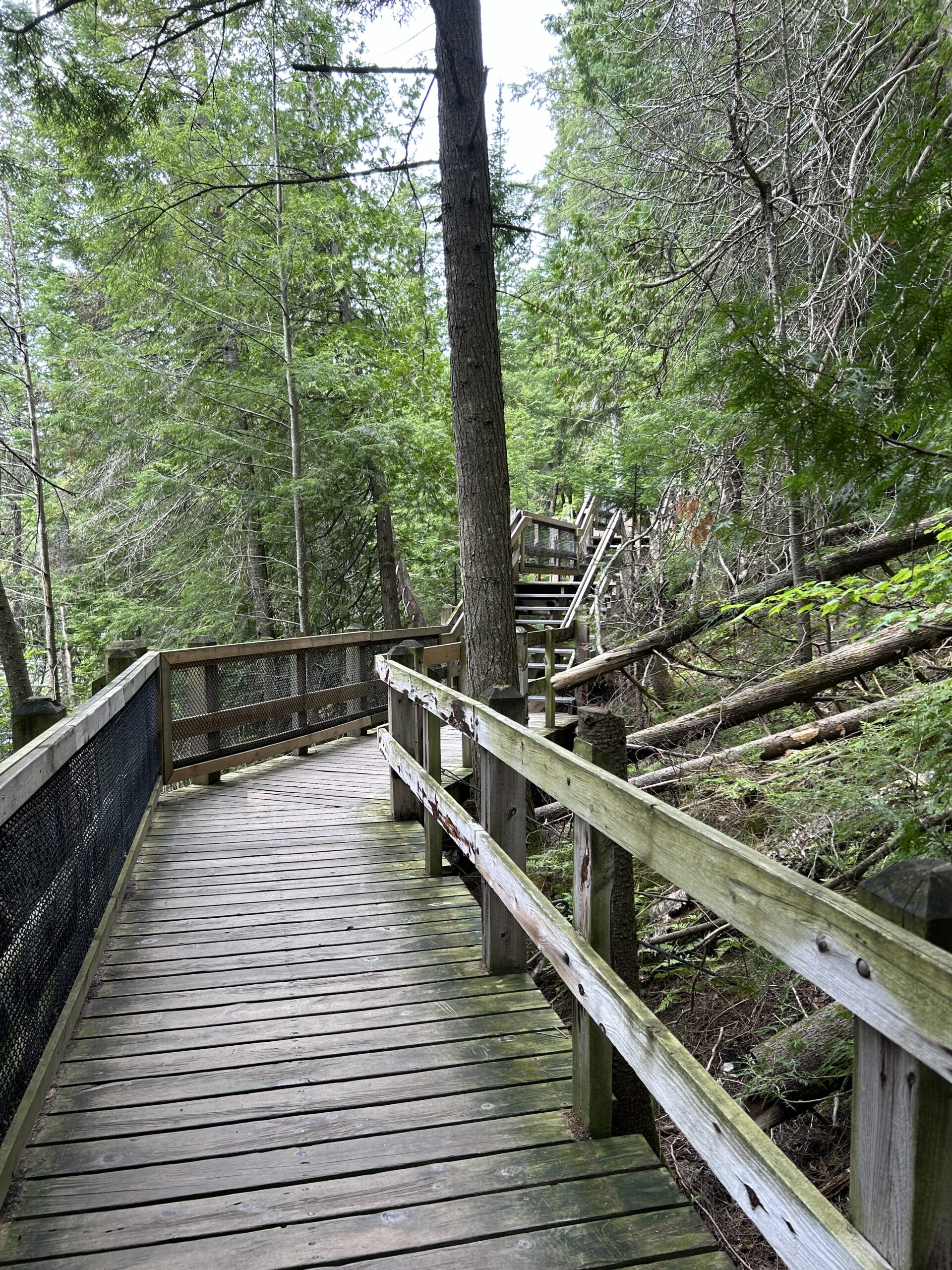 boardwalk path - romanticizing real life