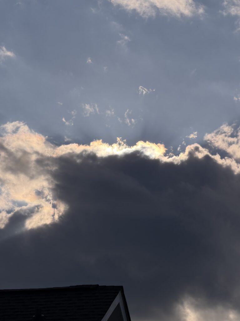 celebrate little moments