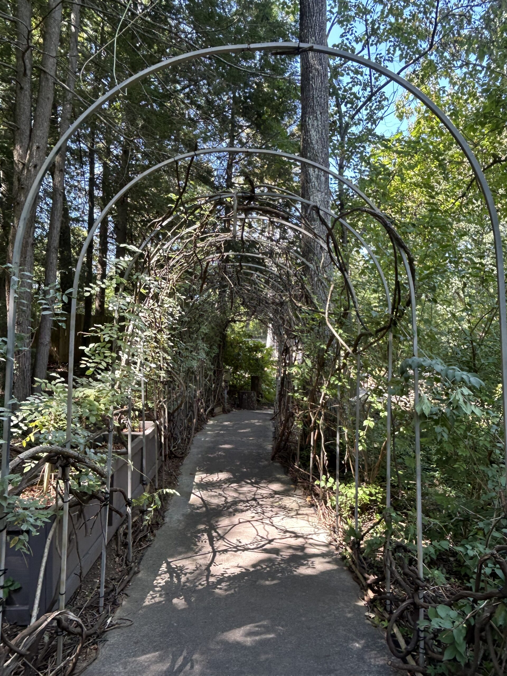 Your Favorite Self Care is the Best Self Care