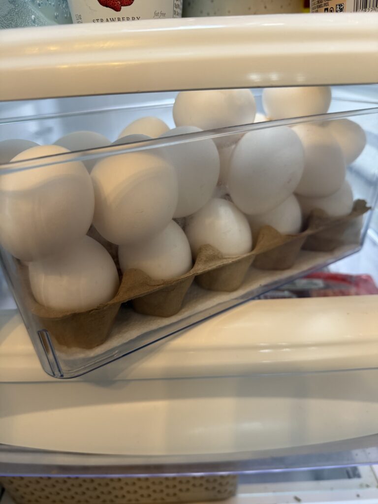 fridge storage 3