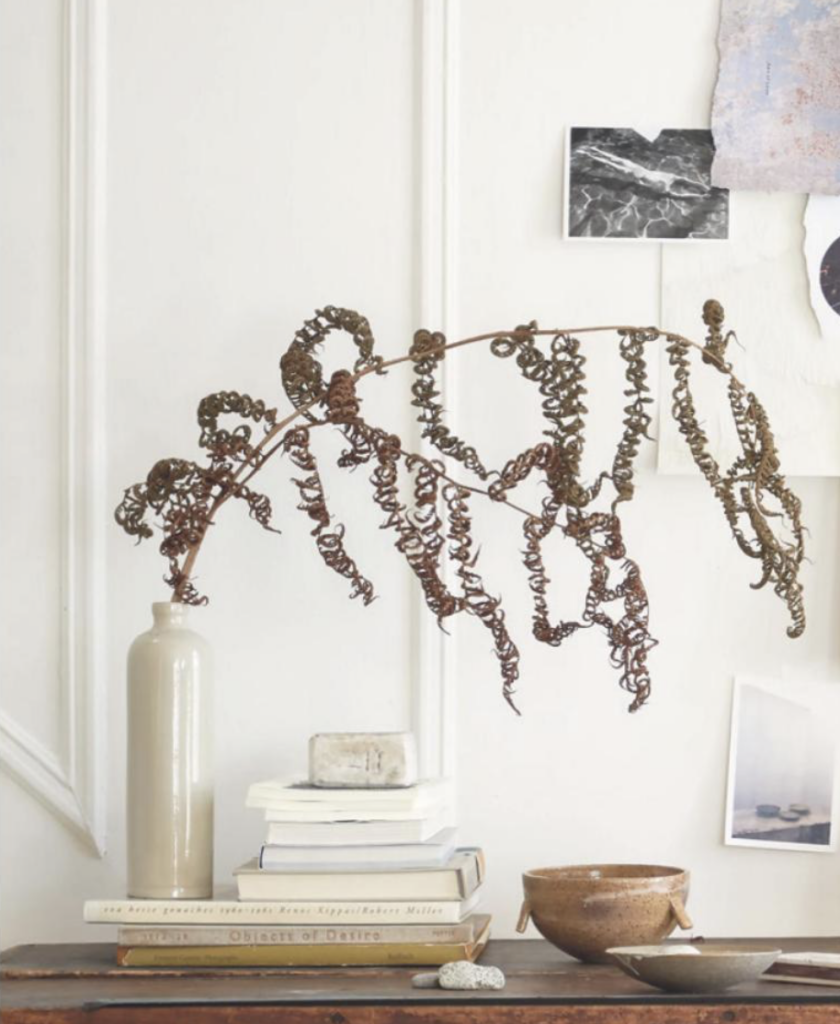 Nomad at home book