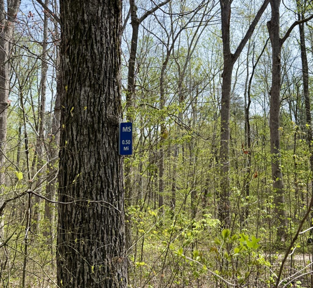 mammoth cave 2026mammoth cave 2026