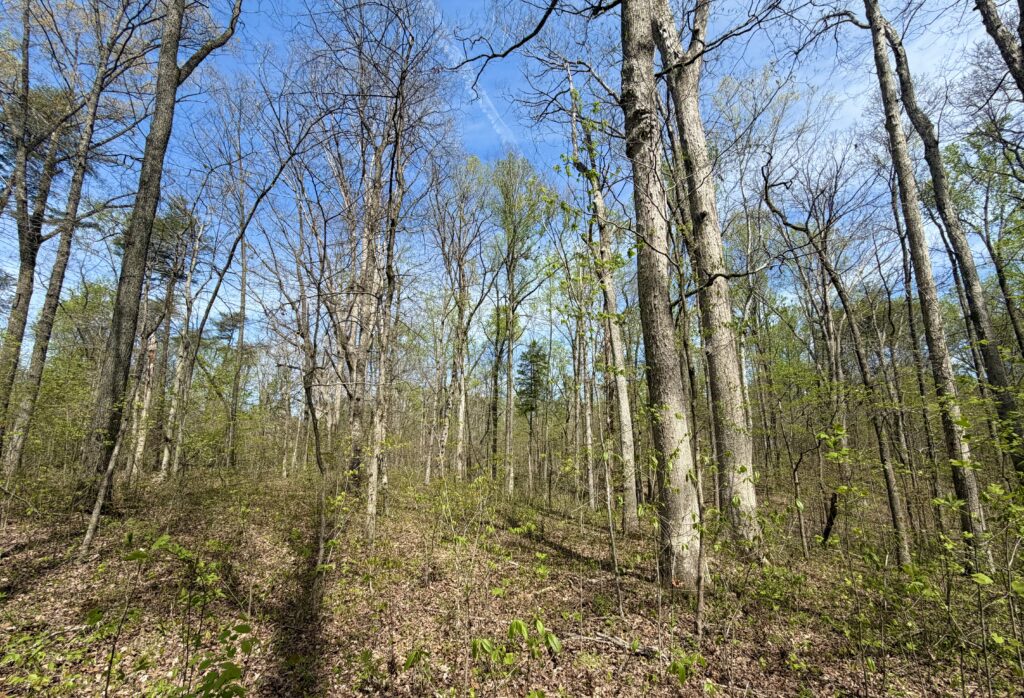 mammoth cave 2026mammoth cave 2026