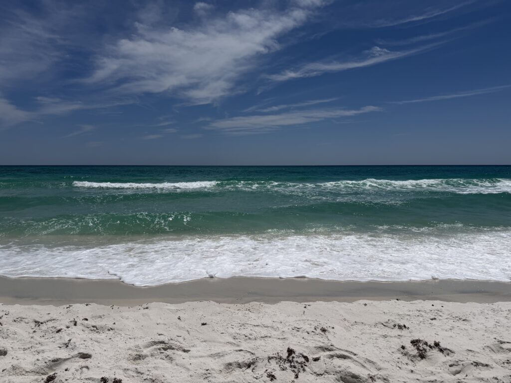 seashore