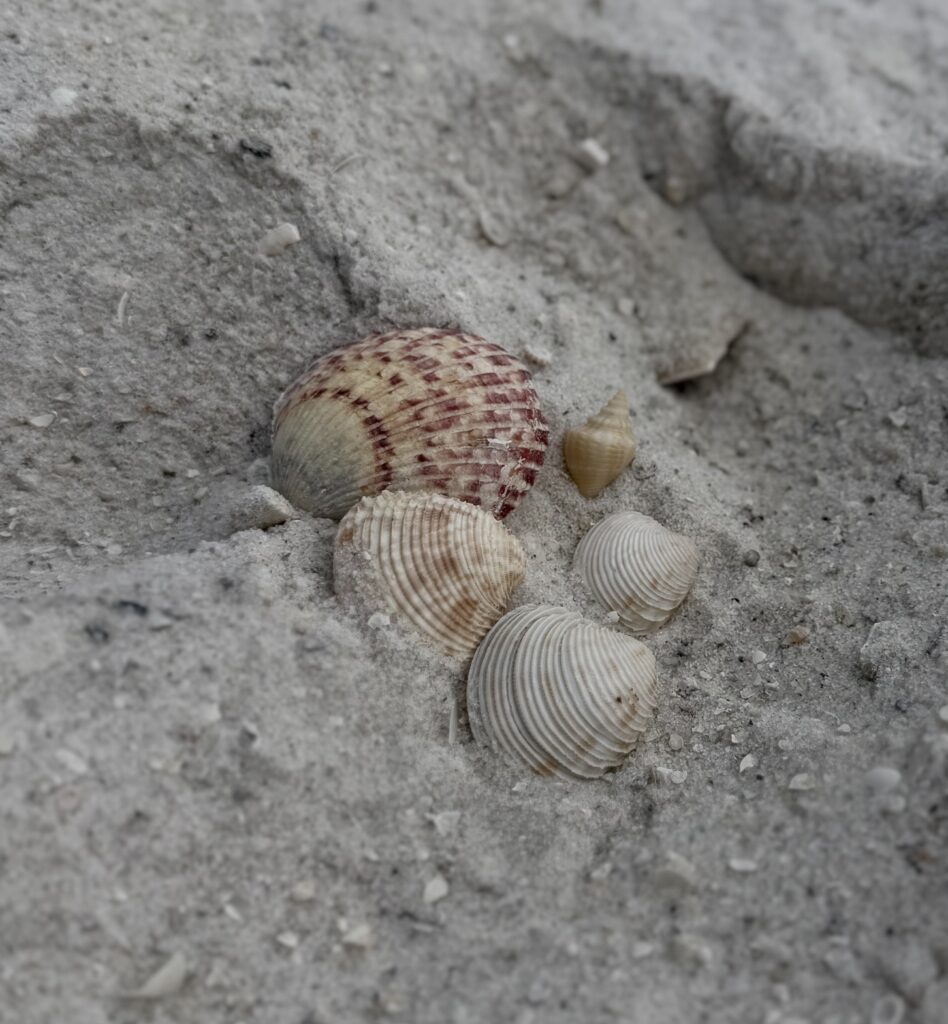 Pensacola Beach