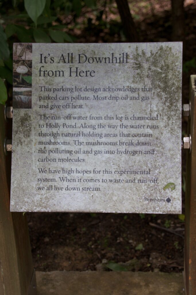 Bernheim forest