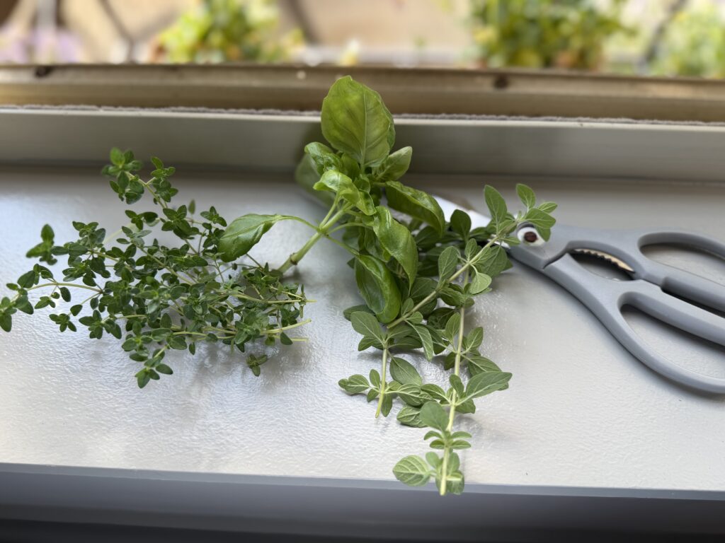 fresh herbs