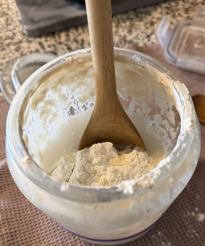 sour dough starter
