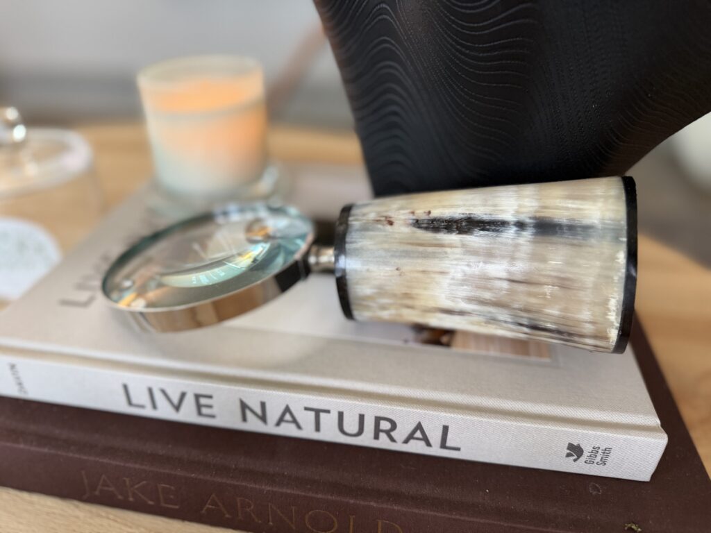 bone magnify glass