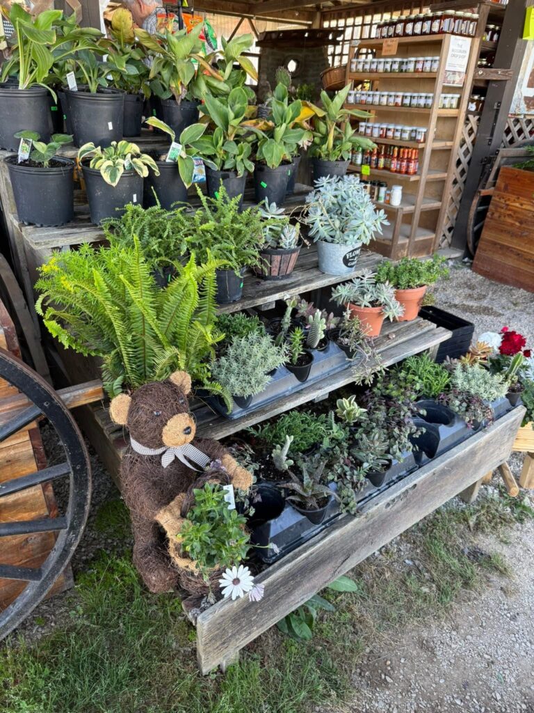 Woodburn farm shop
