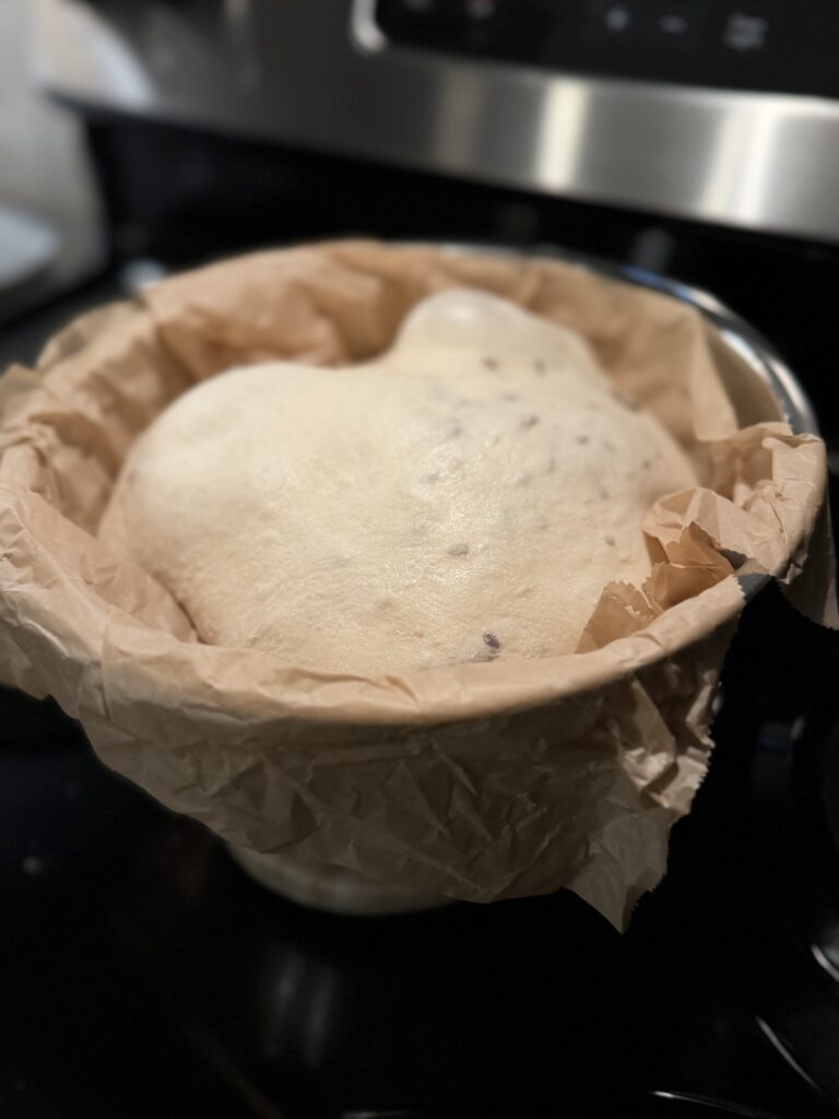 sourdough seed bread