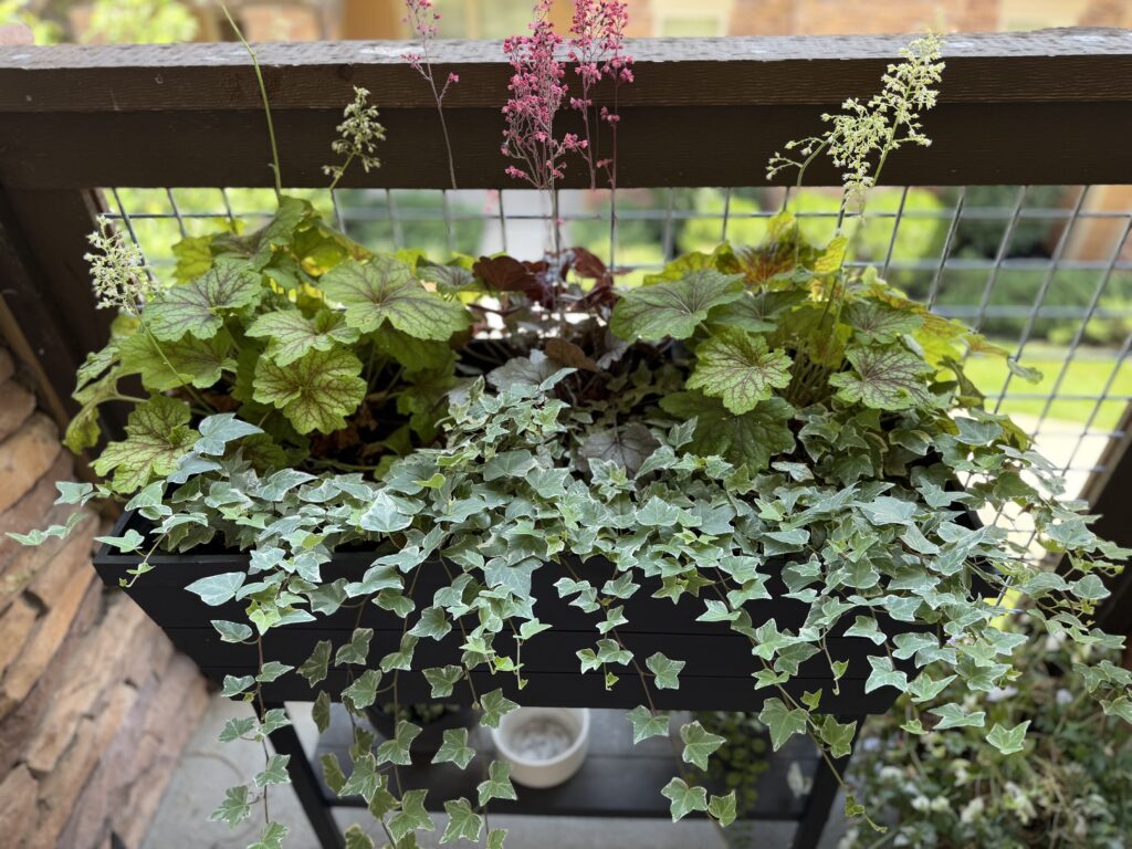 window box