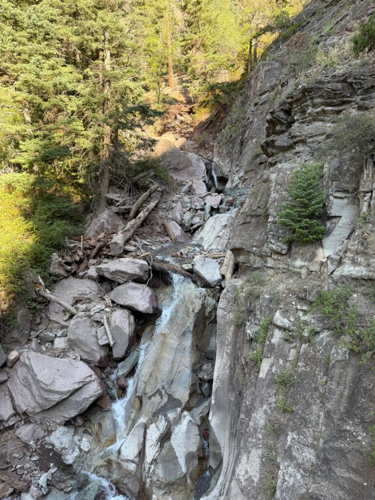 courage trail